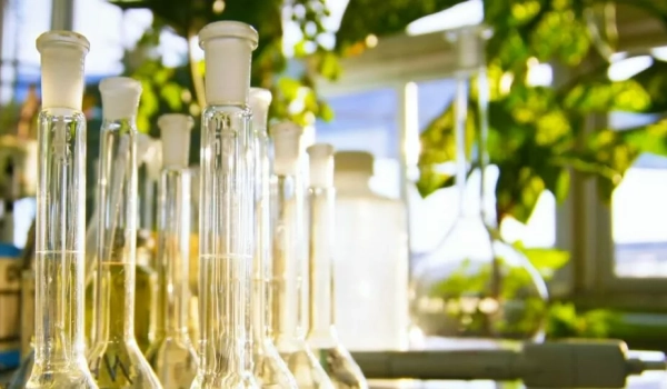 Особенности и порядок проведения экологической экспертизы