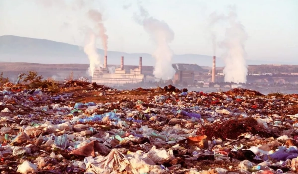 Ответственность за экологические правонарушения