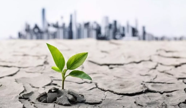 Факторы определения экологической ситуации в мире и по регионам