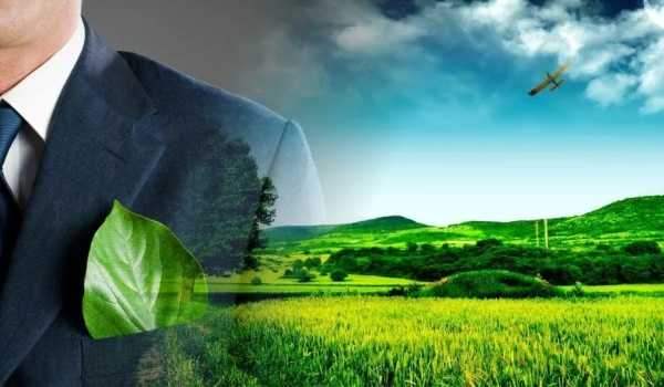 Особенности проведения экологической экспертизы на этапе подготовки к строительству