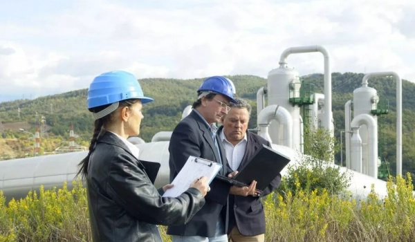 Экологическая проверка: подготовка, виды и выполнение