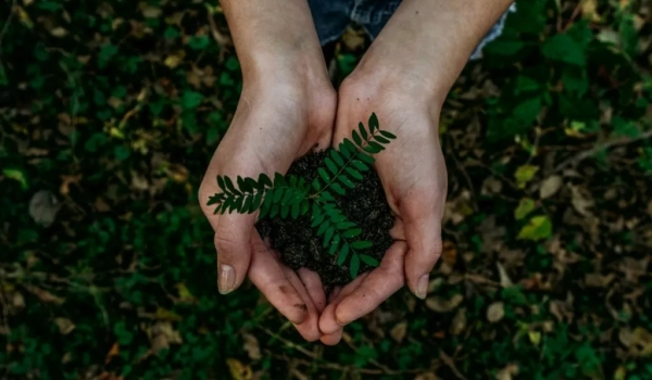 6 советов экологу при заключении договора на обращение с отходами