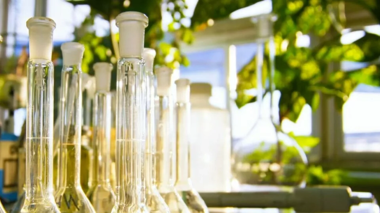 Особенности и порядок проведения экологической экспертизы