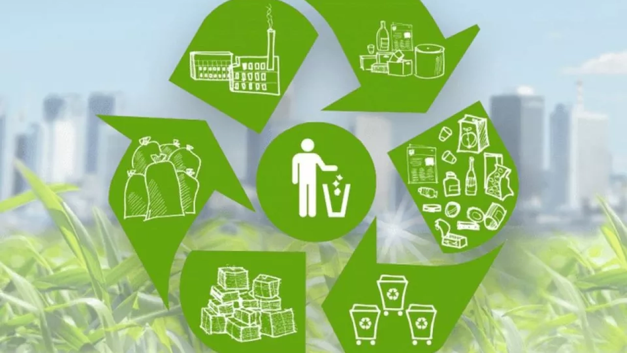 Административная ответственность в области обращения с отходами