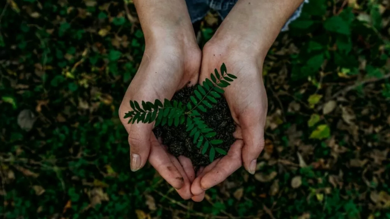 6 советов экологу при заключении договора на обращение с отходами